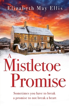 A Mistletoe Promise: A contemporary closed door holiday romance