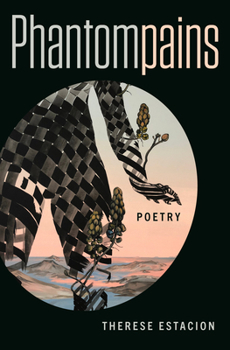 Paperback Phantompains Book