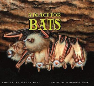 Hardcover A Place for Bats Book