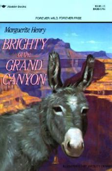 Brighty Of The Grand Canyon (Turtleback School & Library Binding Edition) (Marguerite Henry Horseshoe Library)