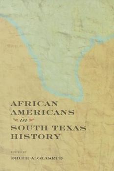 Paperback African Americans in South Texas History Book