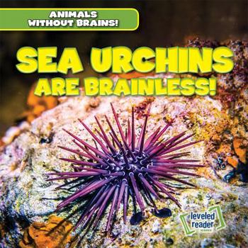 Library Binding Sea Urchins Are Brainless! Book
