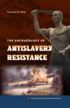 The Archaeology of Antislavery Resistance - Book  of the American Experience in Archaeological Perspective