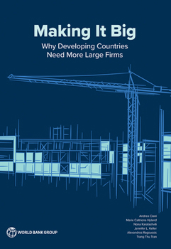 Paperback Large Firms in Development: Origins, Growth Paths, and Contributions Book