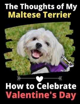 The Thoughts of My Maltese Terrier: How to Celebrate Valentine's Day