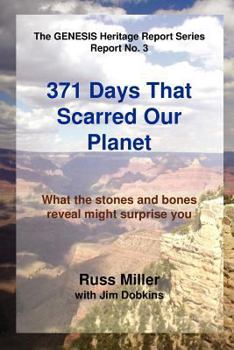 Paperback 371 Days That Scarred Our Planet Book