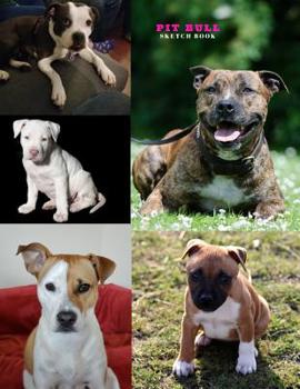 Paperback Pit Bull Sketch Book: Practice Painting, Drawing, writing, Sketching or Creative Doodling. Book