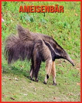 Ameisenb?r: Lustige Fakten und erstaunliche Fotos von Tieren in der Natur