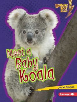 Library Binding Meet a Baby Koala Book