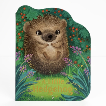 Board book A Little Hedgehog Book