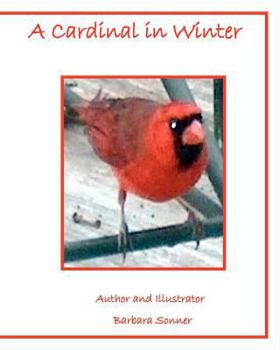 Paperback A Cardinal in Winter Book