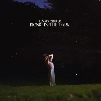 Vinyl Picnic In The Dark Book