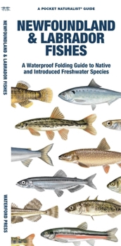 Paperback Newfoundland & Labrador Fishes: A Folding Guide to Native and Introduced Freshwater Species Book