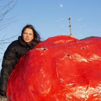 Vinyl Crispy Crunchy Nothing Book