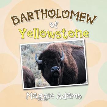 Paperback Bartholomew of Yellowstone Book