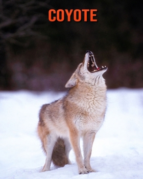 Paperback Coyote: Immagini bellissime e fatti interessanti Libro per bambini sui Coyote [Italian] Book