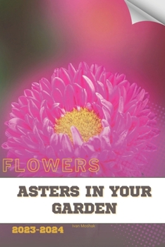 Asters in Your Garden: Become flowers expert