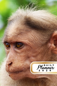 Paperback Daily Planner 2020: Monkey Lover 52 Weeks 365 Day Daily Planner for Year 2020 6x9 Everyday Organizer Monday to Sunday Nature Enthusiast An Book
