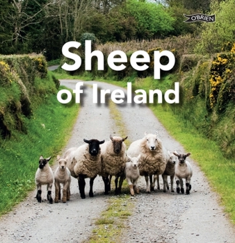 Hardcover Sheep of Ireland Book