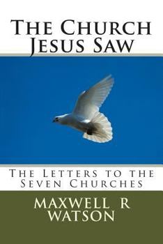 Paperback The Church Jesus Saw: The Letters to the Seven Churches Book