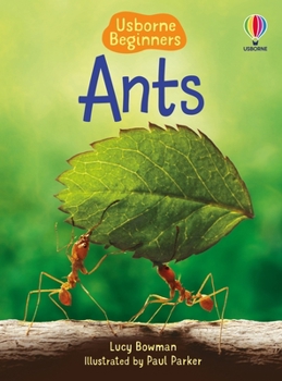 Ants - IR - Book  of the Usborne Beginners