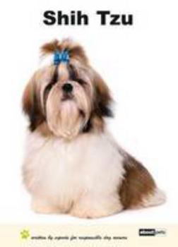 Hardcover Shih Tzu (Dog Breed Expert Series) Book