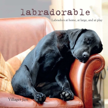 Hardcover Labradorable: Labradors at Home, at Large, and at Play Book