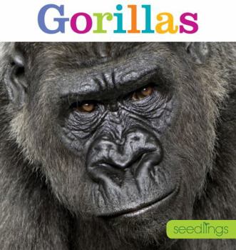 Gorillas - Book  of the Amazing Animals
