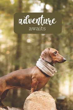 Adventure Awaits: 100-page blank lined journal for dachshund lovers