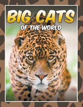 Paperback Big Cats of the World Book