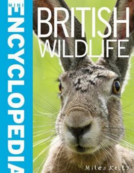 Paperback Mini Encyclopedia - British Wildlife: Crammed with Masses of Knowledge about the Wild Animals, Bir Book