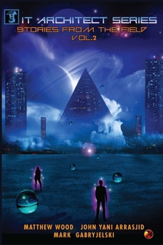 Paperback IT Architect Series: Stories From The Field, Vol. 2: Horror stories and lessons learned from IT Architects, Operations, and Project Managem Book