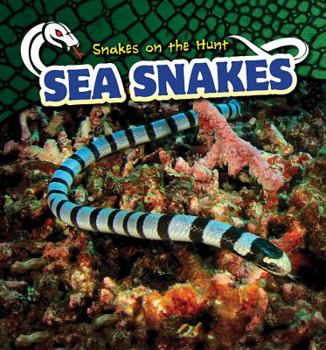 Library Binding Sea Snakes Book