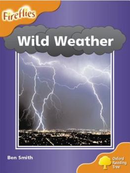 Paperback Oxford Reading Tree: Stage 6: Fireflies: Wild Weather Book