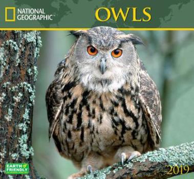 Calendar National Geographic Owls 2019 Calendar Book