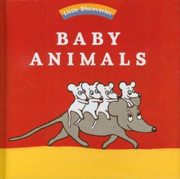 Hardcover Baby Animals Book