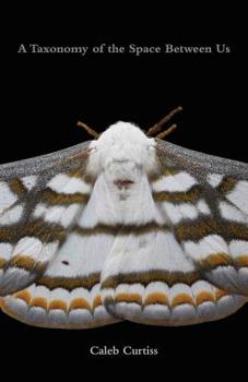 Paperback A Taxonomy of the Space Between Us Book