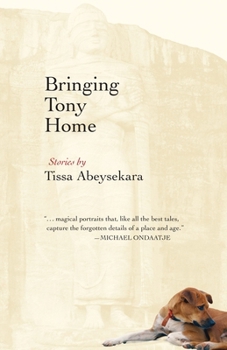 Paperback Bringing Tony Home Book