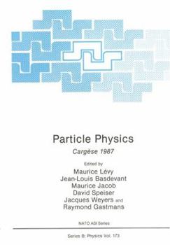 Paperback Particle Physics: Cargèse 1987 Book