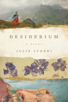 Paperback Desiderium Book