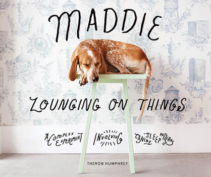Hardcover Maddie Lounging on Things Book