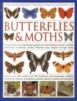 Hardcover The Illustrated World Encyclopedia of Butterflies & Moths: A Natural History and Identification Guide to the Most Signifigant Species, Including Swall Book