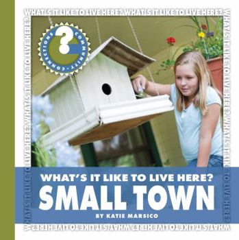 Library Binding What's It Like to Live Here? Small Town Book