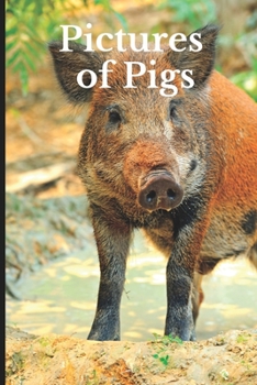 Paperback Pictures of Pigs: Funny White Elephant, Secret Dirty Santa Gift, (Stupid Gifts Ideas) Book