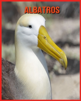 Albatros: Livre pour Enfants Images & Informations Etonnantes Concernant les Albatros