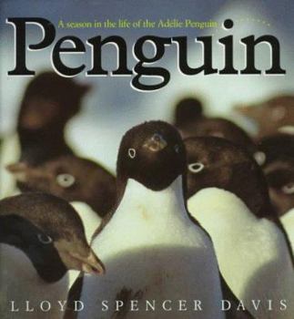 Hardcover Penguin: A Season in the Life of the Adelie Penguin Book