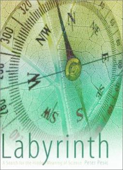 Hardcover Labyrinth: A Search for the Hidden Meaning of Science Book