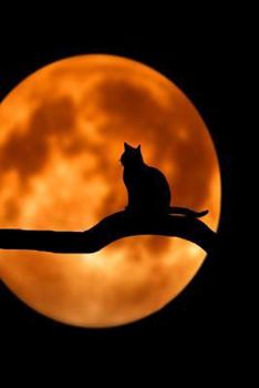Paperback Talking to the Moon: Cats Are Nocturnal by Nature. They Vocalize to Connect to Each Other and to Us as Well. Book