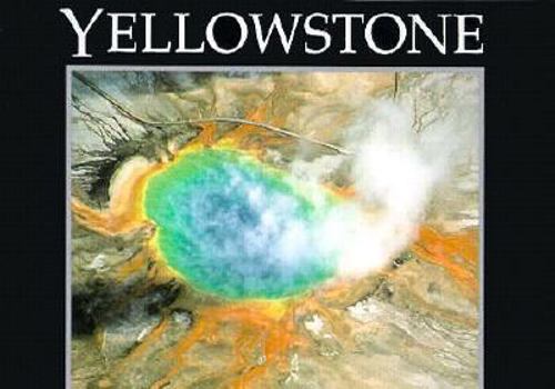 Paperback Yellowstone (Postcard Books) Book