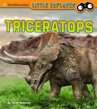 Paperback Triceratops Book